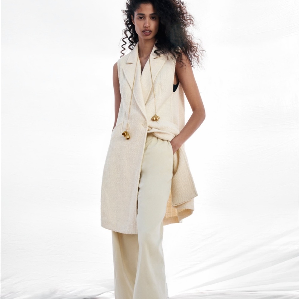 NWT Zara Linen Blend Pleated Pants